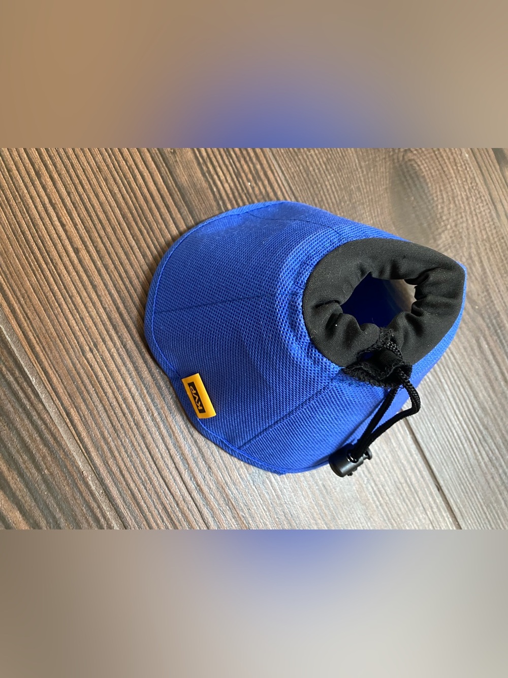 Cat Protection Collar for Surgeries NWOT